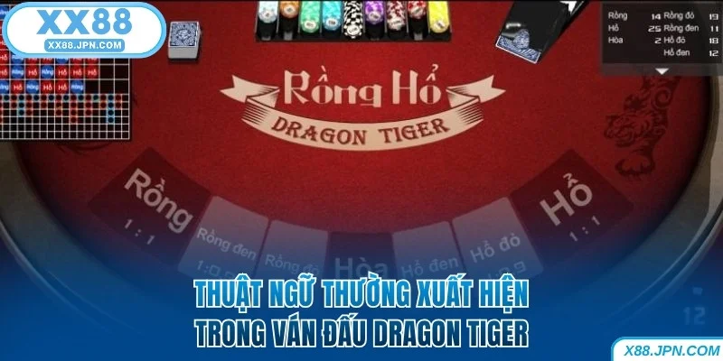Thuật ngữ thường xuất hiện trong ván đấu Dragon Tiger tại XX88