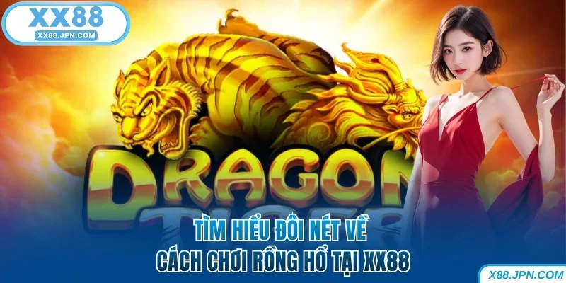 Tìm hiểu đôi nét về cách chơi Rồng Hổ tại XX88